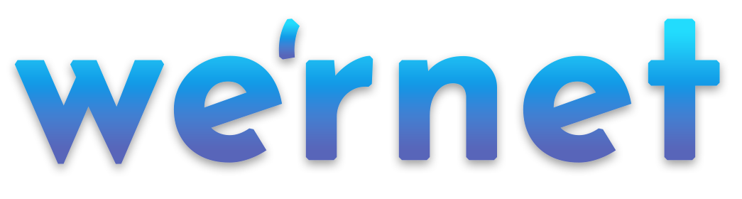 wernet – Wsparcie sprzedaży internetowej dla firm